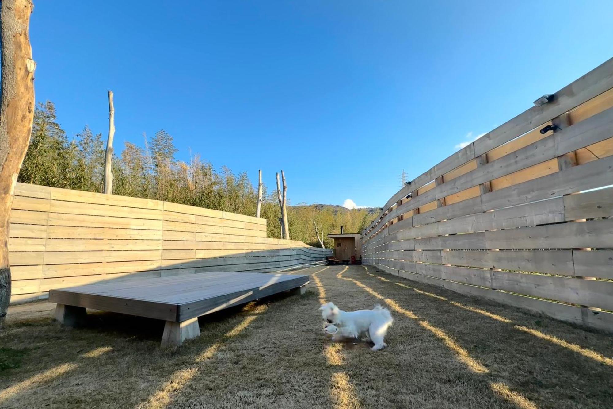 サウナとドッグラン付きのアンティーク古民家宿 Akiya Cornerstone Awaji ภายนอก รูปภาพ